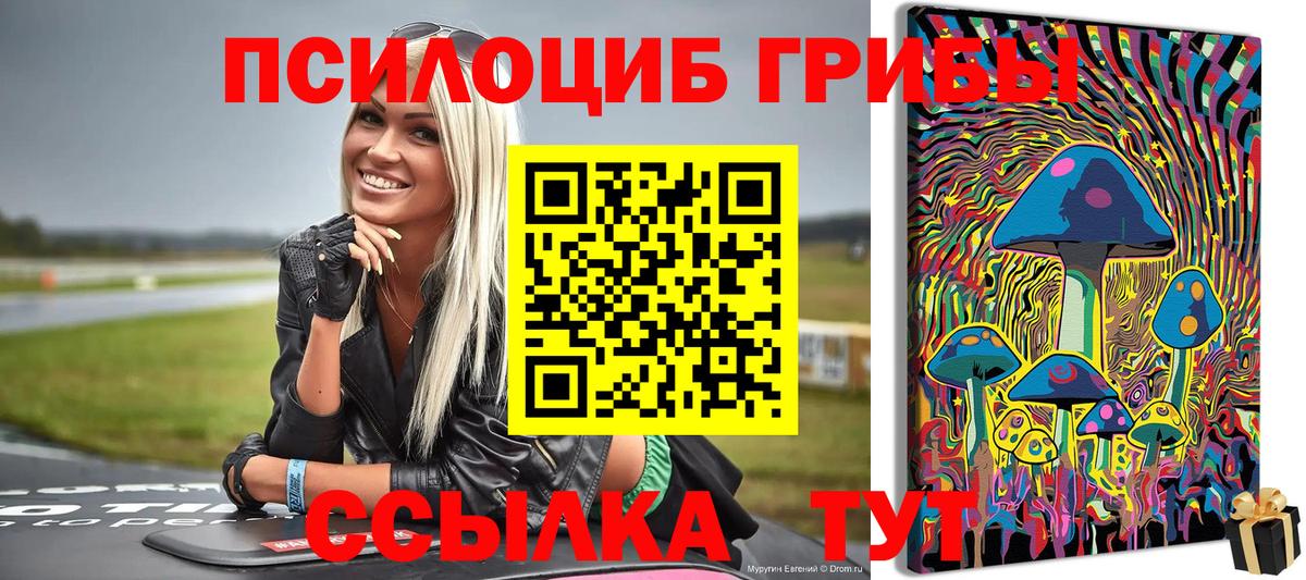 Псилоцибиновые грибы Magic Shrooms Касимов